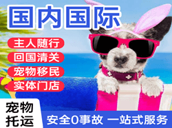 二连浩特航空物流国际宠物托运 【国